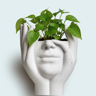 Саморазвитие