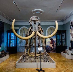 Музеи и экскурсии 📷