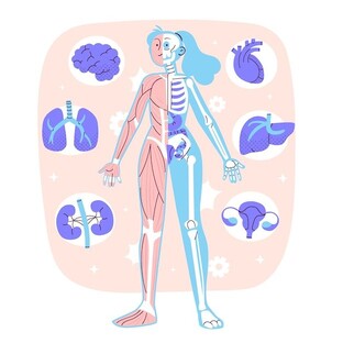 Спортивная физиология