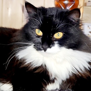 Влоги Апрель 2025