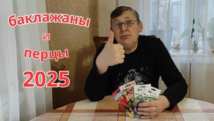 выращивание перца