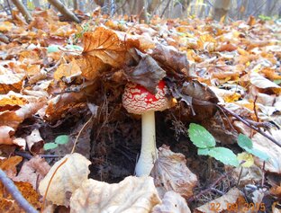 Внимание! Вред