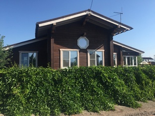 Недвижимость