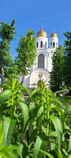 Калининградская область