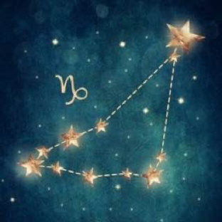 КОЗЕРОГ 