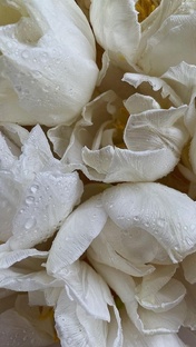 ЦИТАТЫ | мотивация