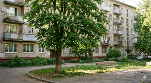 Растения и город