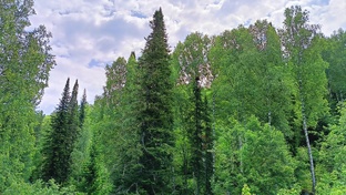 Рядом с Горным Алтаем