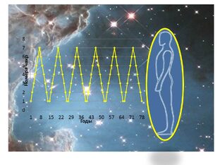 Тайны биоритмов