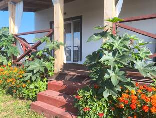 Про растения