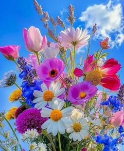 красивые цветы🌸