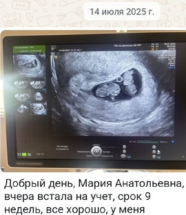 Все о переносе эмбрионов