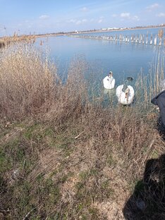 Путешествия