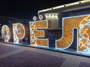 Новый год 26