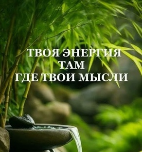 7 шагов к здоровому телу и ясному уму🌿🧠