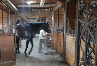 Ипподром(Иркутск,Пивовариха)