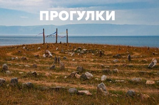Живые видеопрогулки 