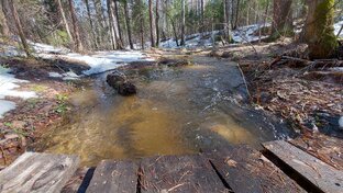 Природа Урала