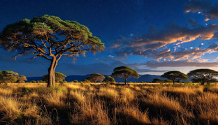 Другая Африка