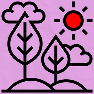 Природные зарисовки!