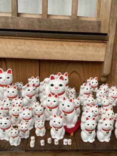 Япония 🇯🇵 