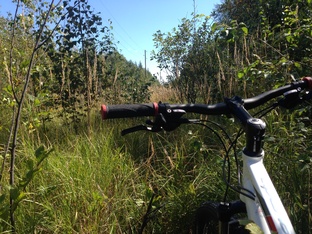 Всё остальное