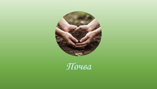 Всё о почве
