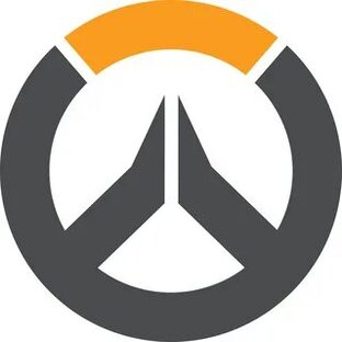Братья играют в overwatch