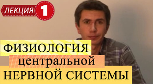 Физиология высшей нервной деятельности и сенсорных систем. 