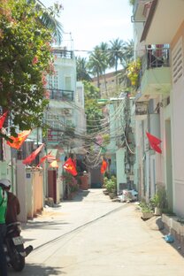 Вьетнамский путь