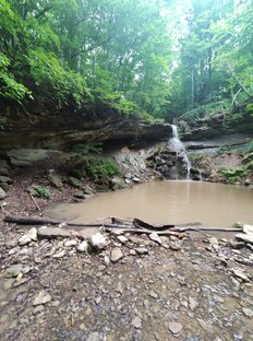 Путешествия