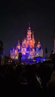 Шанхайский Диснейленд