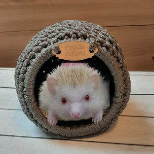 На ночь, то что надо_5