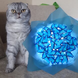 Джентльмен 