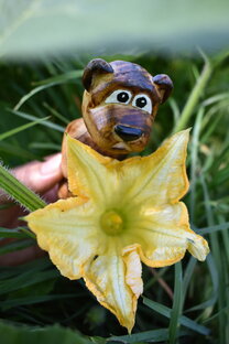 Мишкины забавы