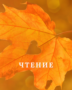 ЧТЕНИЕ: детективы, расследования, эссе