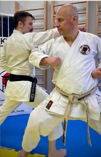 Разбор техники каратэ. каратэ.онлайн