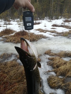 ЗАКРЫТИЕ ЗИМНЕГО СЕЗОНА 2024-2025 Г. 