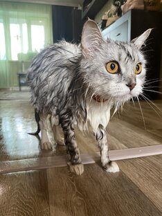 Смешное) Из жизни 