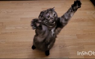 Блог о жизни