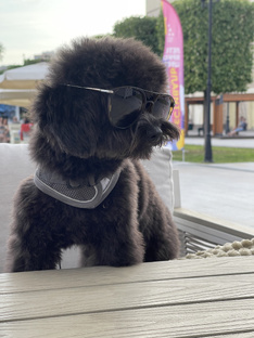 Лучшее за месяц 