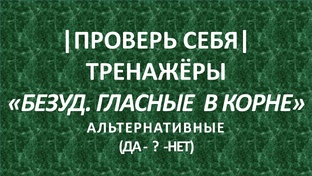 ТРЕНАЖЁРЫ  Б.Г. В К.  АЛЬТЕРНАТИВНЫЕ  ДА. НЕТ.