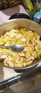 Огород в июле