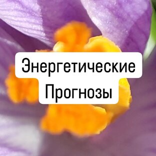 ЭНЕРГЕТИЧЕСКИЕ ПРОГНОЗЫ