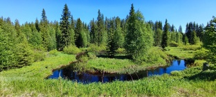 Рыбница