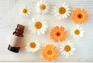 Травы вам в помощь