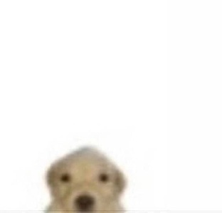 Обсуждалки