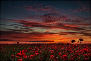 С чего начинается Родина.. О.К.