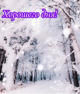 Праздники 11 января