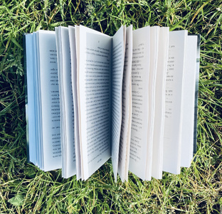 Книга месяца